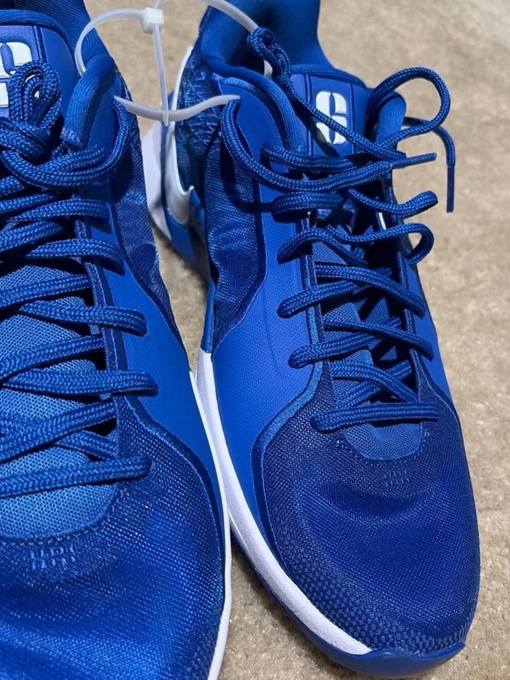 Nike Men's Royal Blue Athletic Sneakers